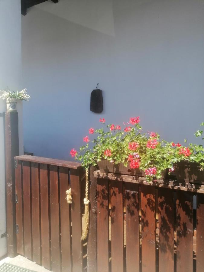 Casa Huber Hotel Carta  Екстериор снимка