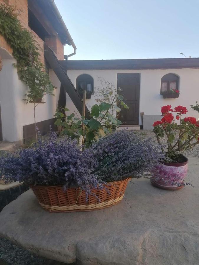 Casa Huber Hotel Carta  Екстериор снимка